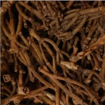 Organic Clove Stem